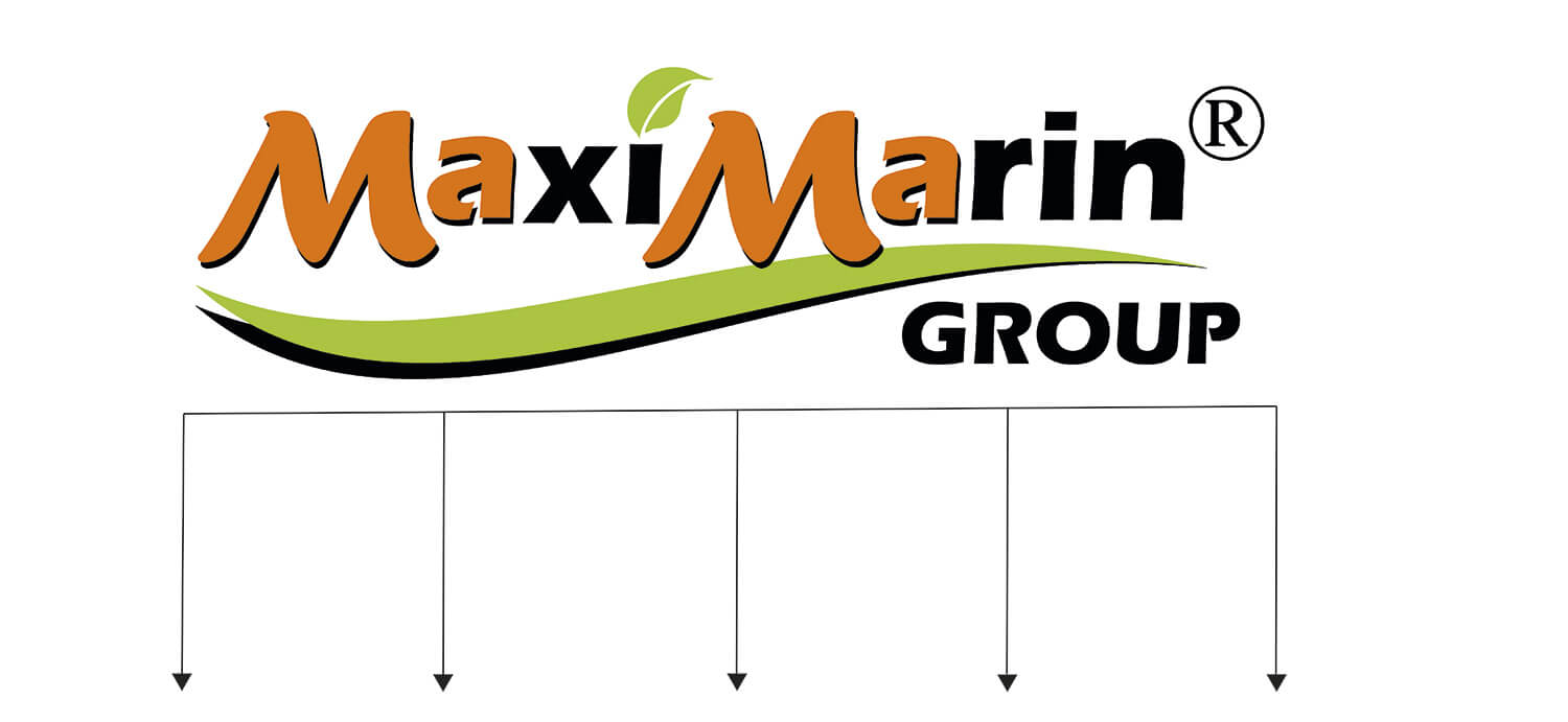 maximaringroup